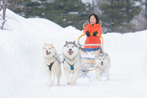 犬ぞりを楽しむ様子