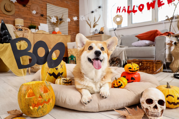 ハロウィンの飾り付け