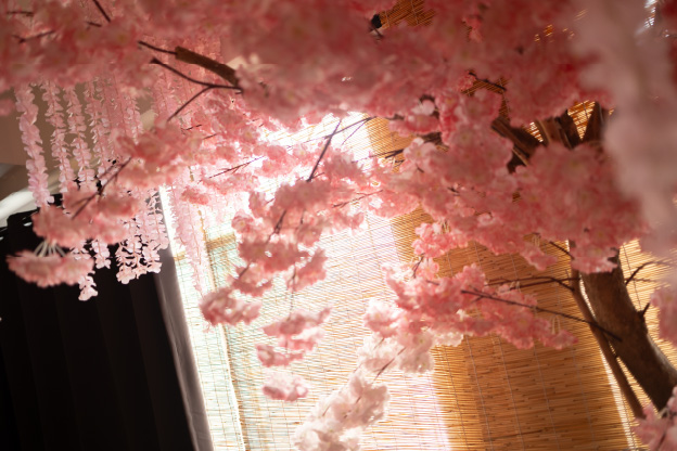 桜